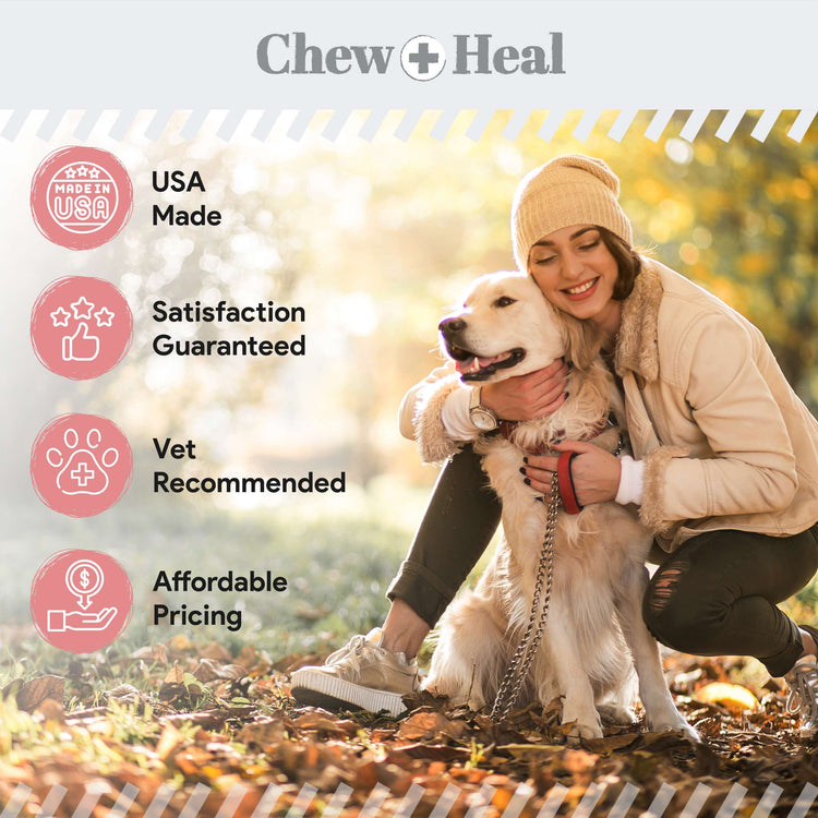 Stop The Diarrhea Liquid Digestive Aid for Dogs 12oz