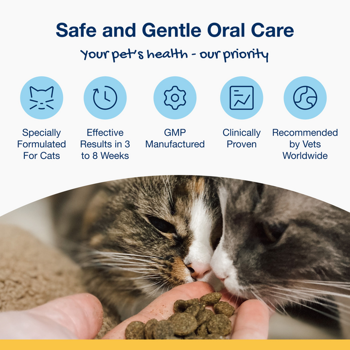 ProDen PlaqueOff Dental Bites for Cats - Salmon Flavour (60 g)