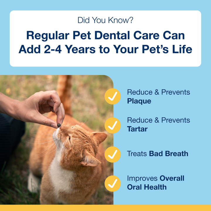 ProDen PlaqueOff Dental Bites for Cats - Salmon Flavour (60 g)