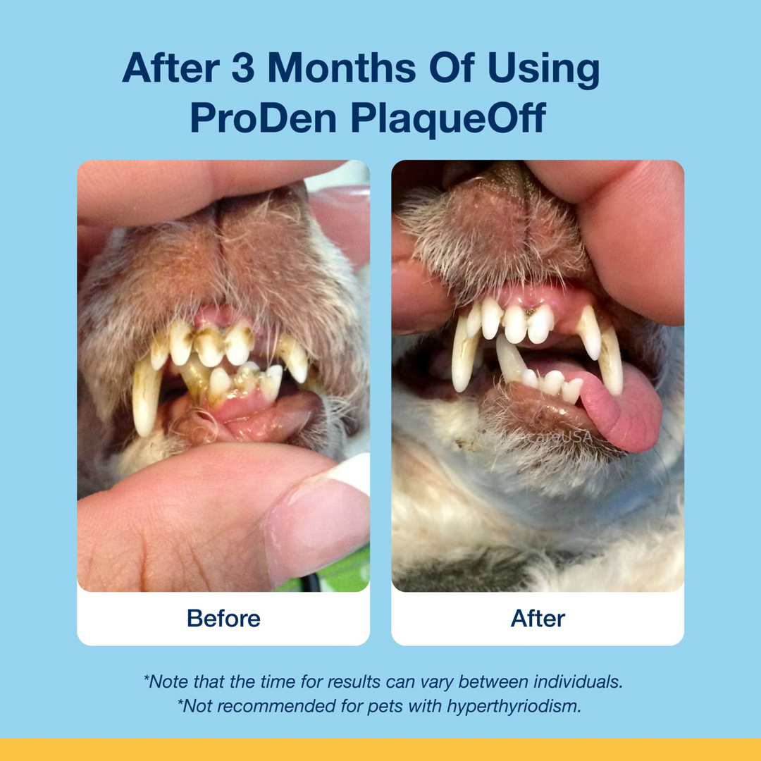ProDen PlaqueOff Soft Chews for Small and Medium Dogs (120 Chews, 90 g)