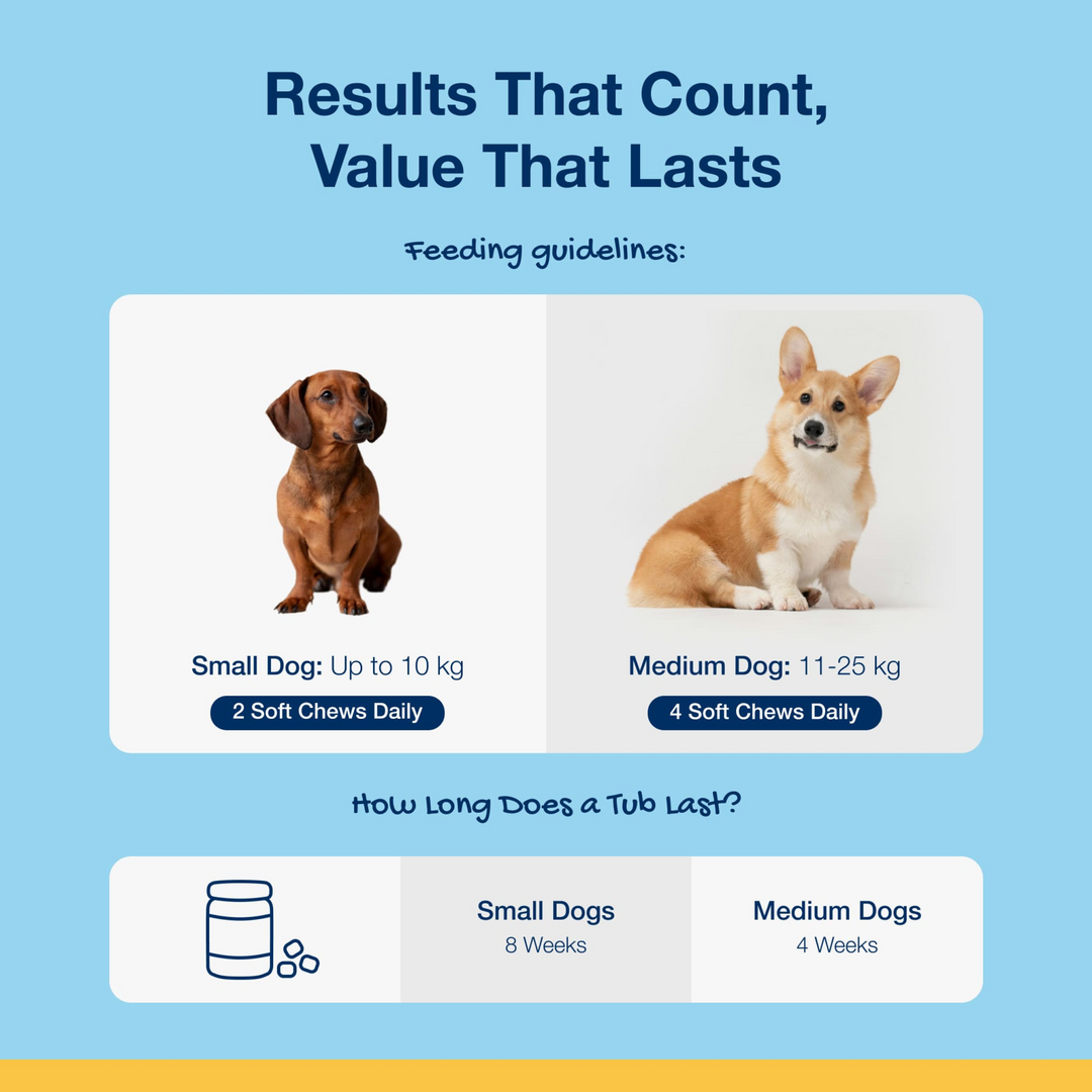 ProDen PlaqueOff Soft Chews for Small and Medium Dogs (120 Chews, 90 g)