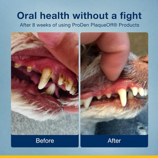 ProDen PlaqueOff Powder for Dogs (40 g)