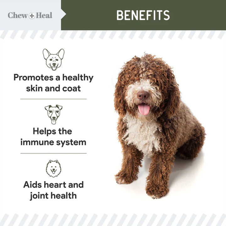 Wild-Caught Cod Liver Oil Salmon Oil Alternative Skin & Coat Liquid Supplement for Dogs
