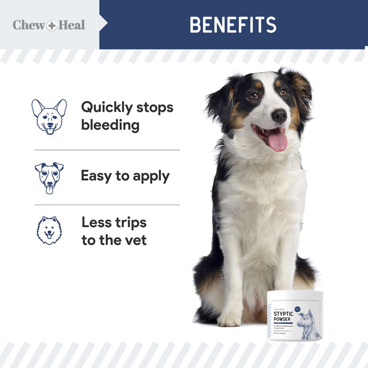 Styptic Powder Dog Treatment