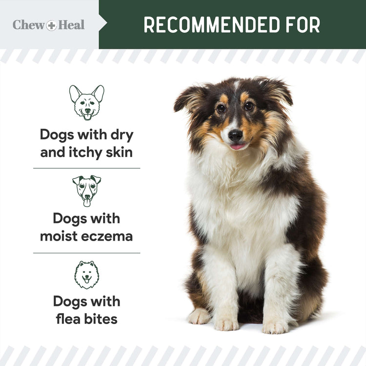 Hydrocortisone Lotion for Dogs 4oz