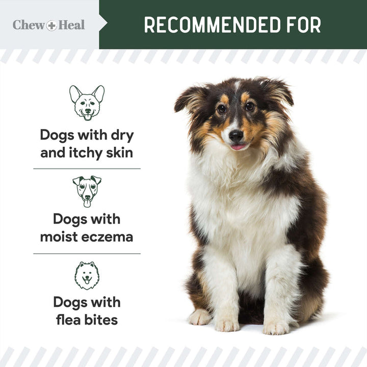 Hydrocortisone Lotion for Dogs 4oz
