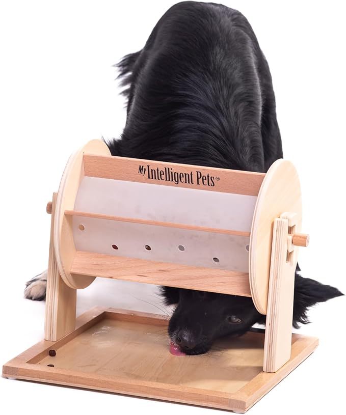 Wheel of Fortune Interactive Dog Treat Dispenser