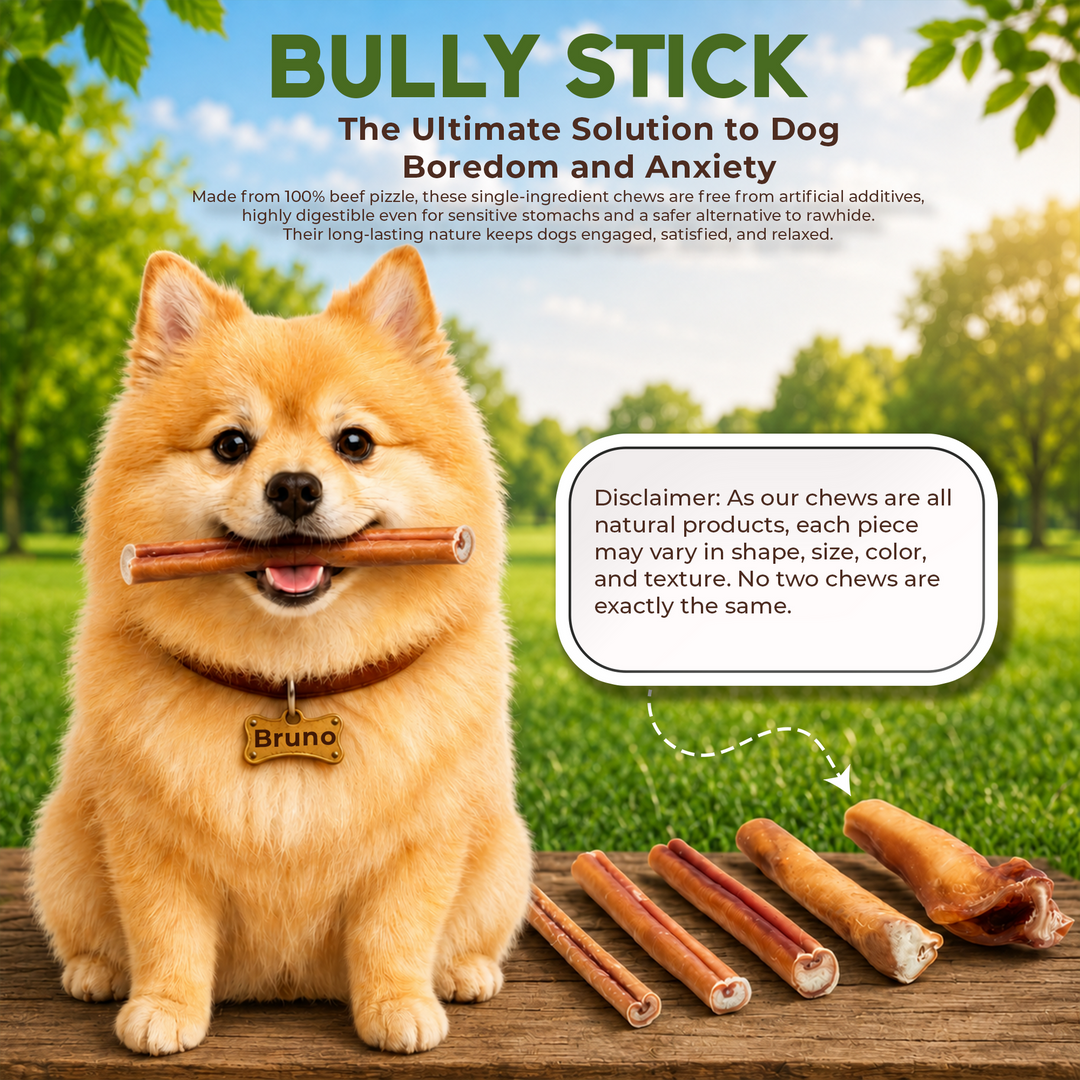 6" Bully Stick Jumbo