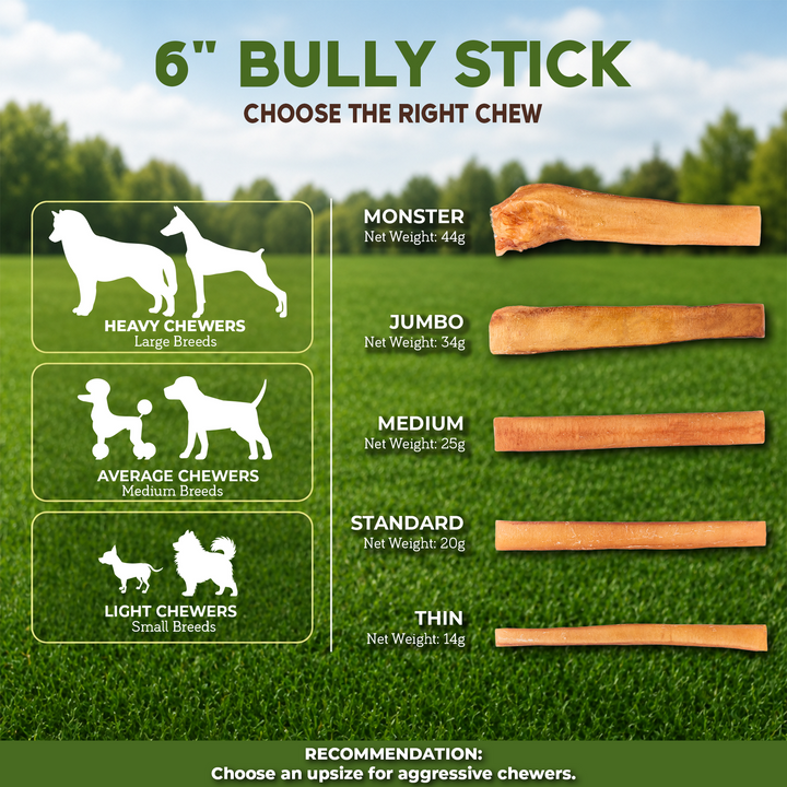 6" Bully Stick Monster