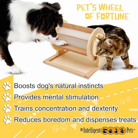 Wheel of Fortune Interactive Dog Treat Dispenser
