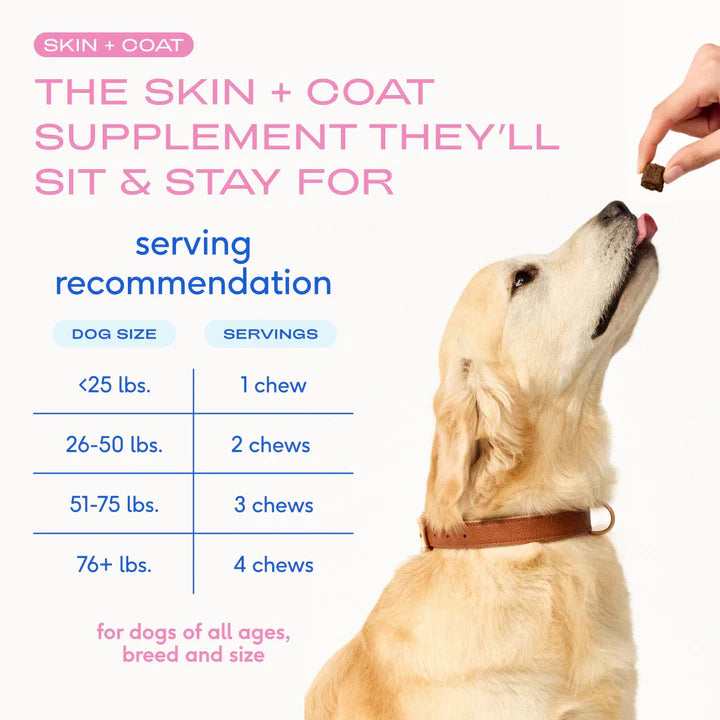 Native Pet Omega Skin and Coat Chews for Dogs