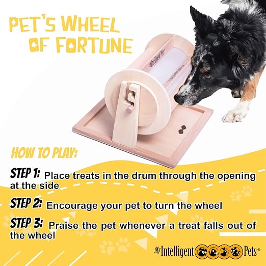 Wheel of Fortune Interactive Dog Treat Dispenser