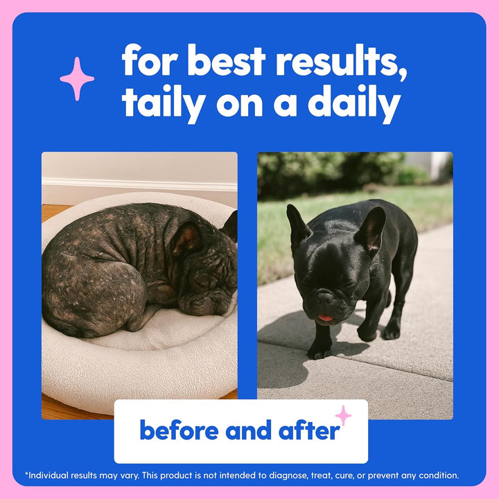 Taily Multivitamin with Liquid Collagen for Dogs and Cats, 4 oz