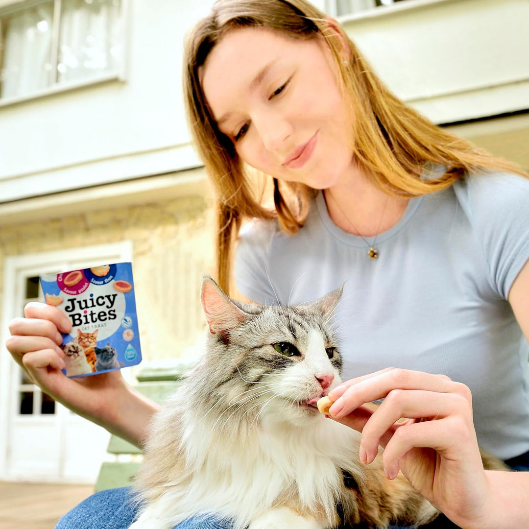 INABA Juicy Bites Tuna & Chicken Flavor