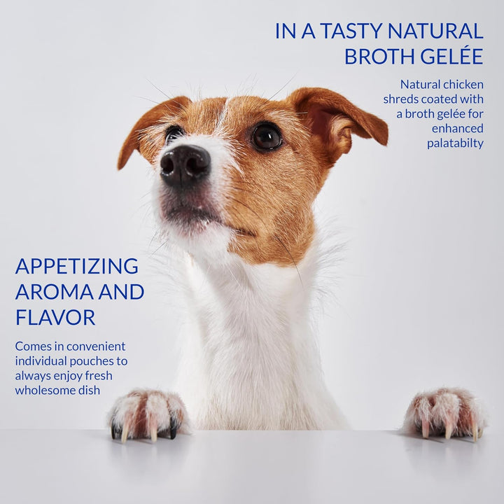 Inaba Twin Packs Chicken With Vegetables Recipe In Chicken Broth (For Dogs)