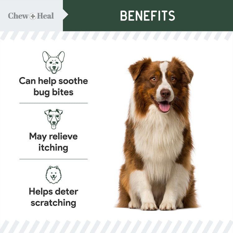 Hydrocortisone Lotion for Dogs 4oz