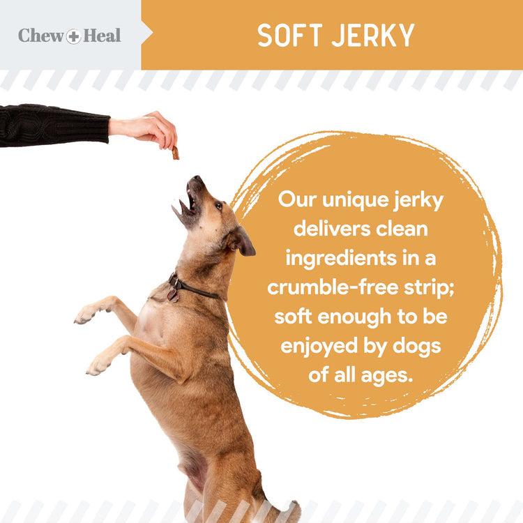 Wild Alaskan Omega Skin + Coat Salmon Soft Jerky Dog Treats
