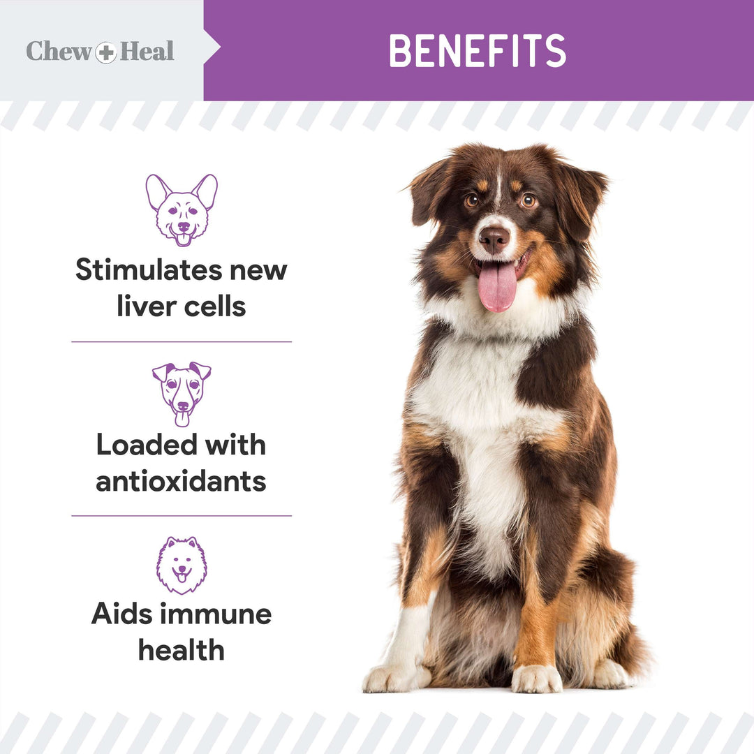 Milk Thistle Tincture with Moringa Oil & Salmon Oil Liquid Kidney & Liver Health Supplement for Dogs(2oz)