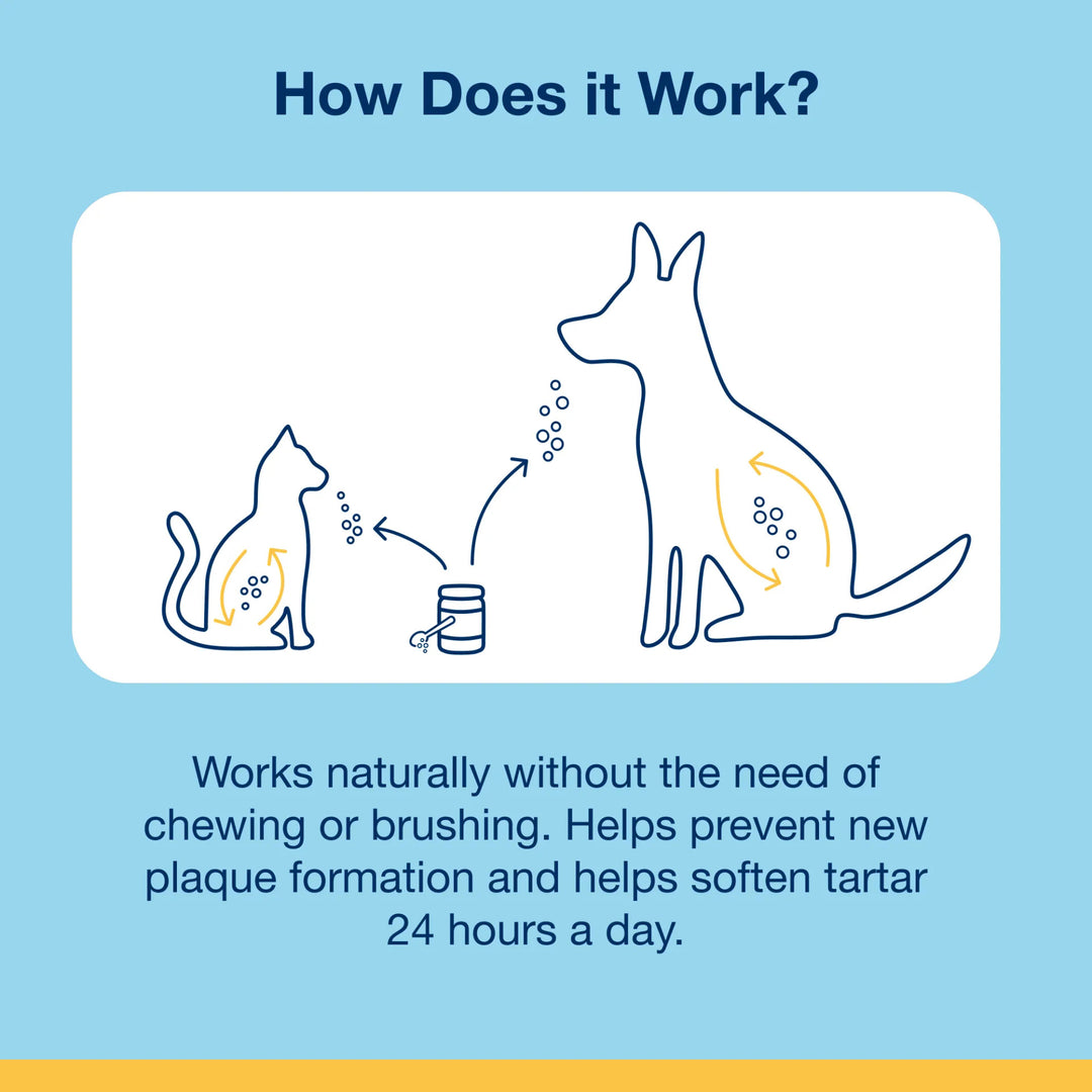 Powder for Cats 40g