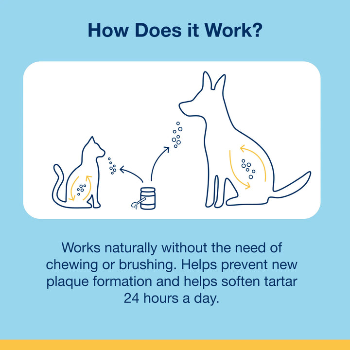 Powder for Cats 40g