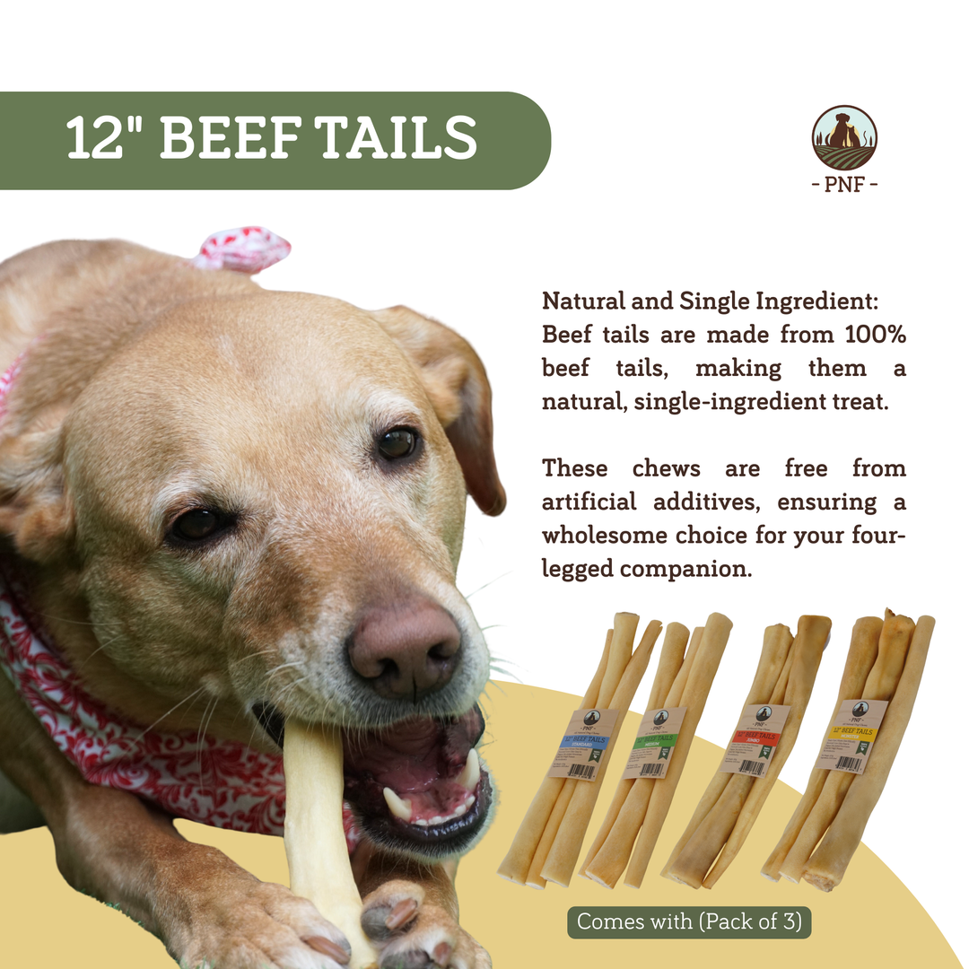 12" Beef Tails Standard