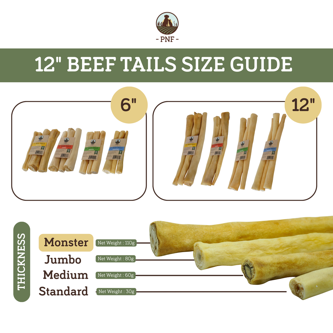 12" Beef Tails Monster