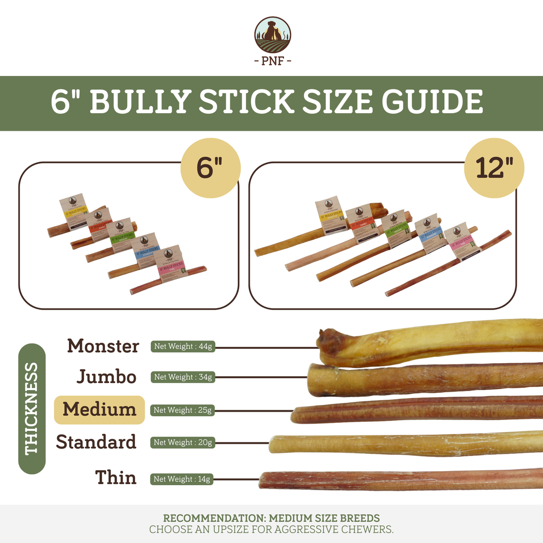 6" Bully Stick Medium