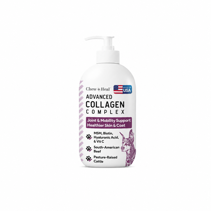 Liquid Collagen Supplement for Dogs – 4 oz Pump Bottle
