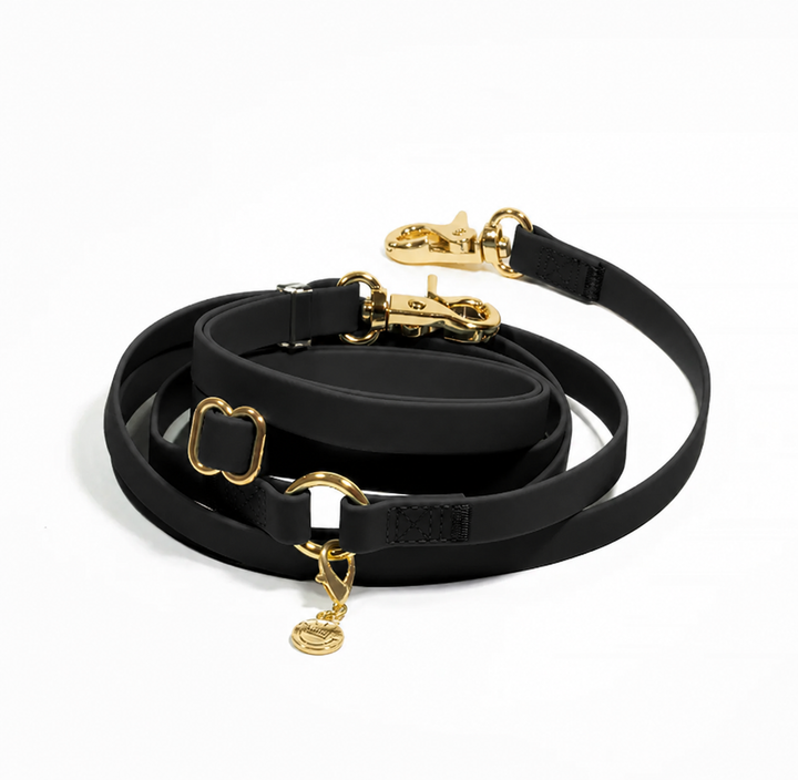 4-IN-1 Convertible Hands Free Cloud Dog Leash