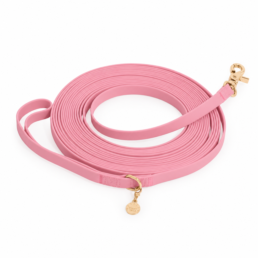 Waterproof 30-Ft Dog Leash