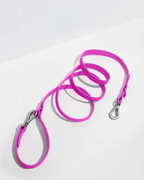 Wild one Dog Leash