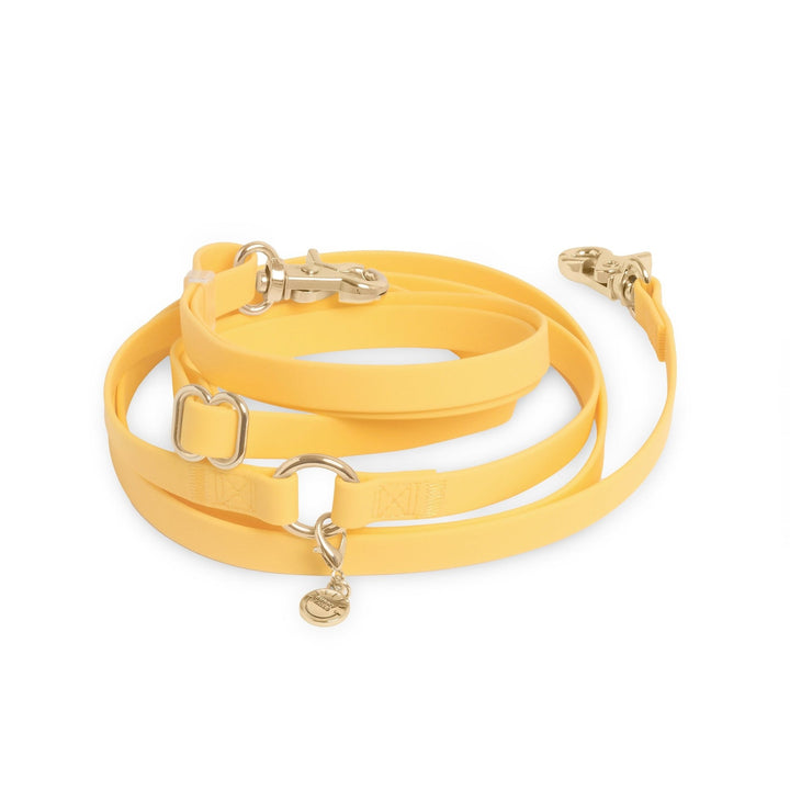 4-IN-1 Convertible Hands Free Cloud Dog Leash (8.5 FT)