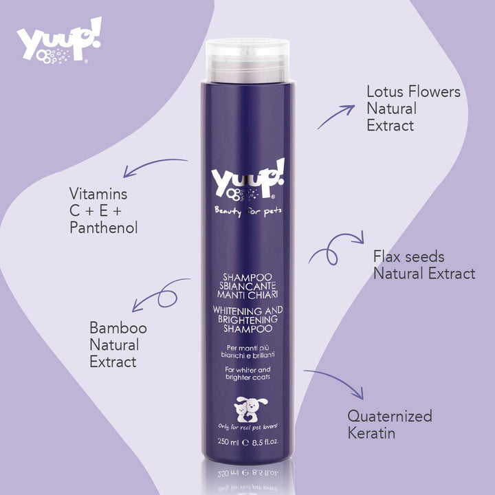 Yuup! Home Whitening And Brightening Shampoo 250ml