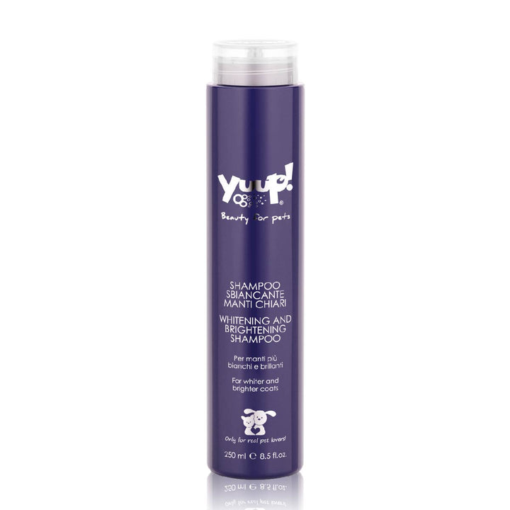 Yuup! Home Whitening And Brightening Shampoo 250ml