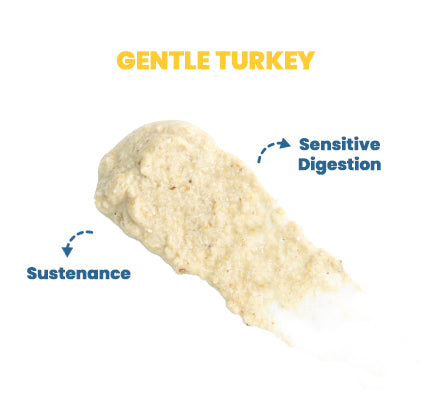 Gentle Turkey - Functional toppers
