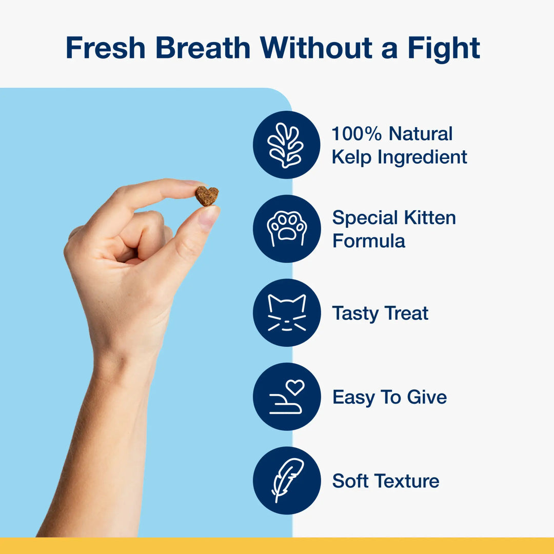 Holistic Soft Bites for Kittens - Oral Care Kitten Formula