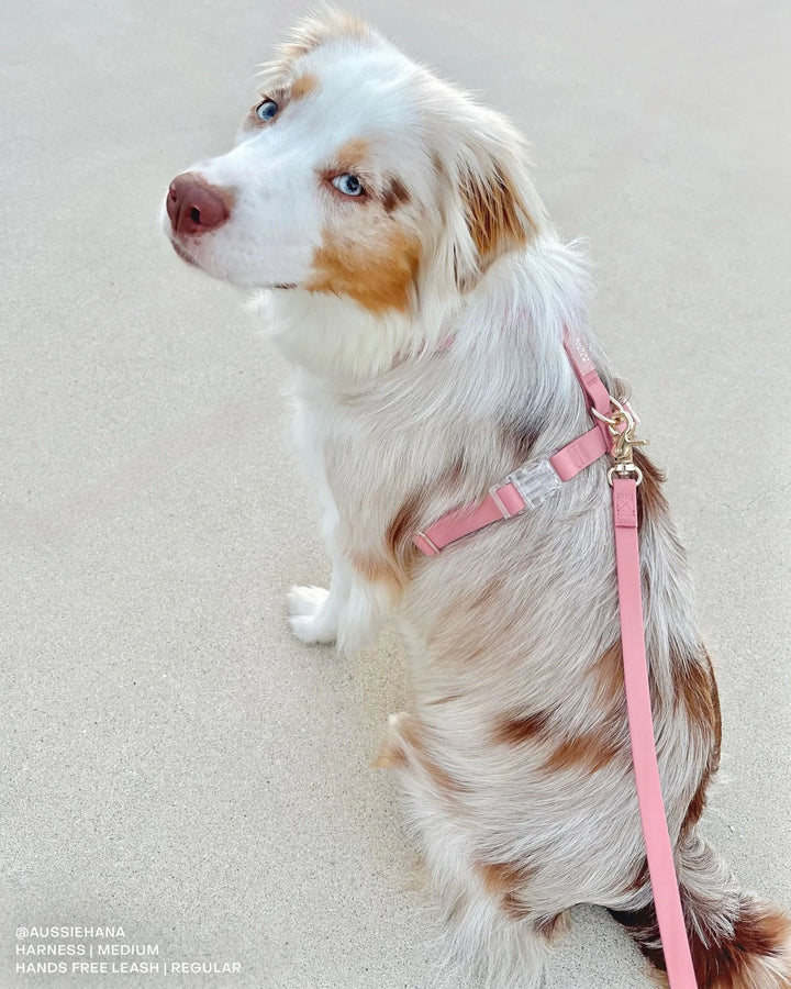 Perfect Pink Cloud Lite Dog Harness
