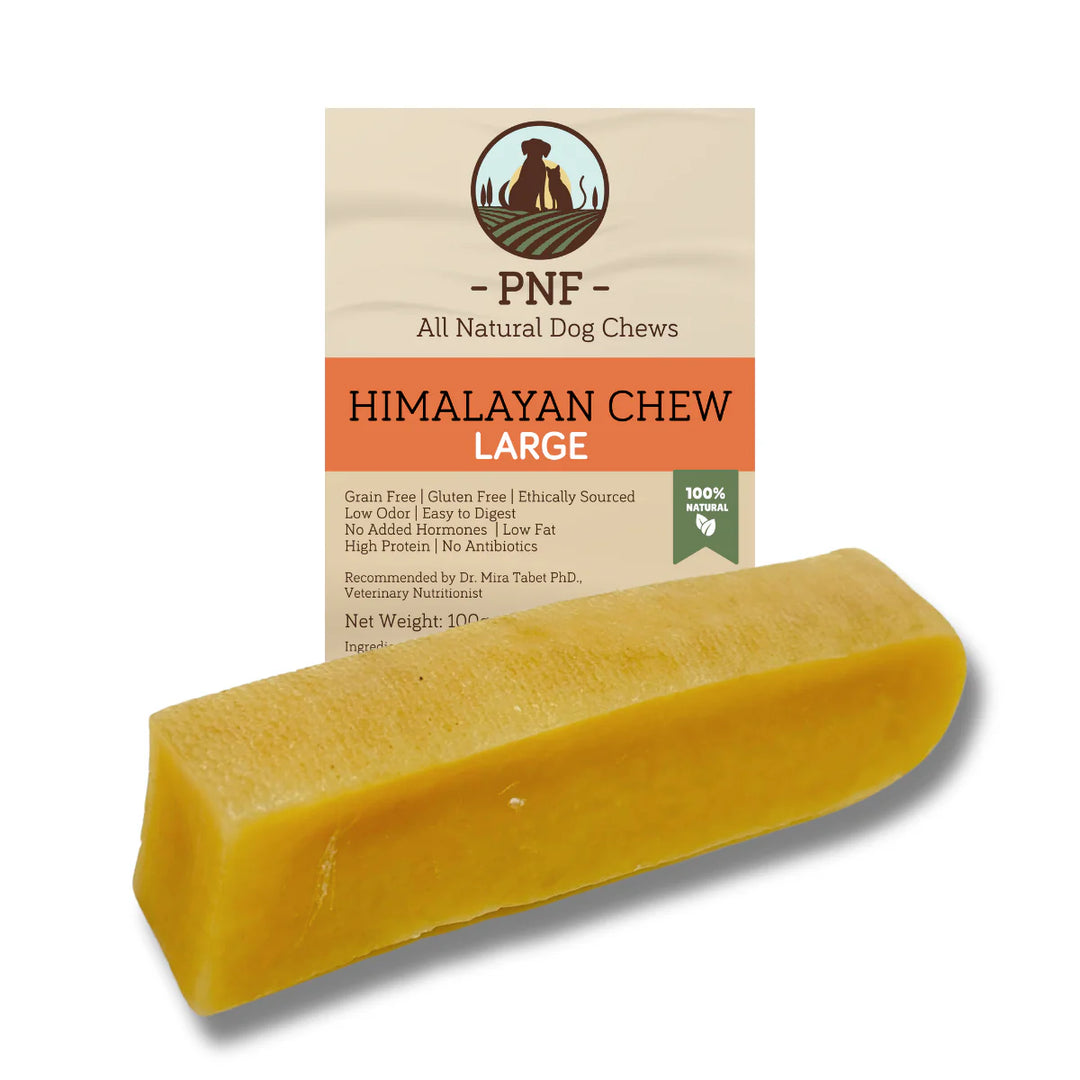 Himalayan  L