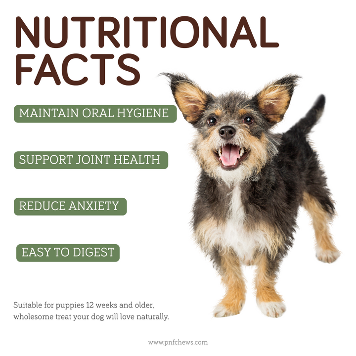 Horse Liver 95g