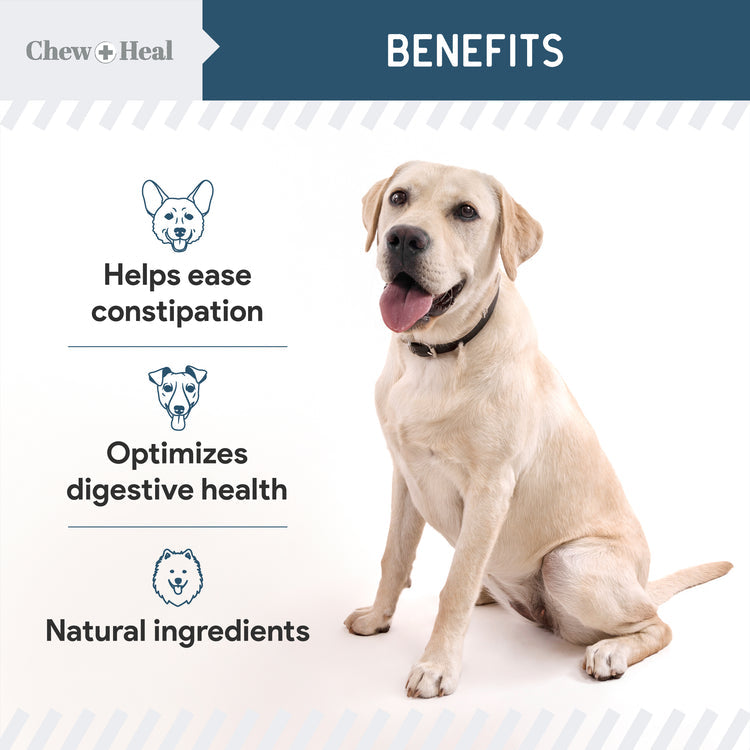 Digestive Enzymes & Probiotics Supplement for Dogs 120soft Chews