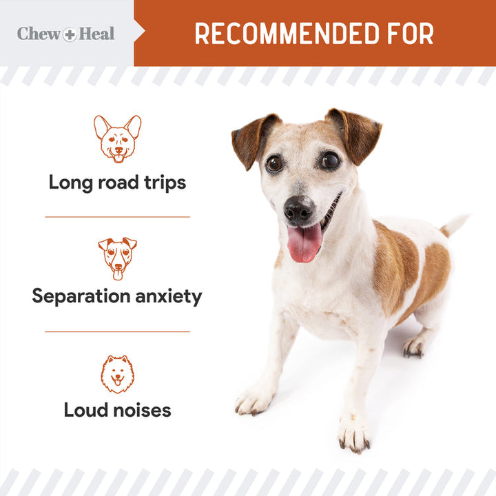 Chew Heal Anxiety and Stress Calming chews - 30 Ct