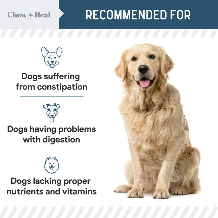 Digestive Enzymes & Probiotics Supplement for Dogs 120soft Chews