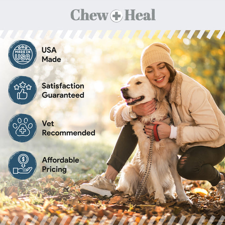 Digestive Enzymes & Probiotics Supplement for Dogs 120soft Chews