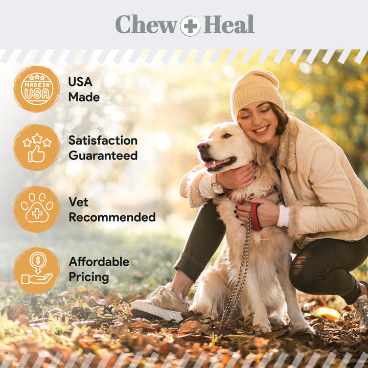 Omega Skin + Coat Dog Supplement