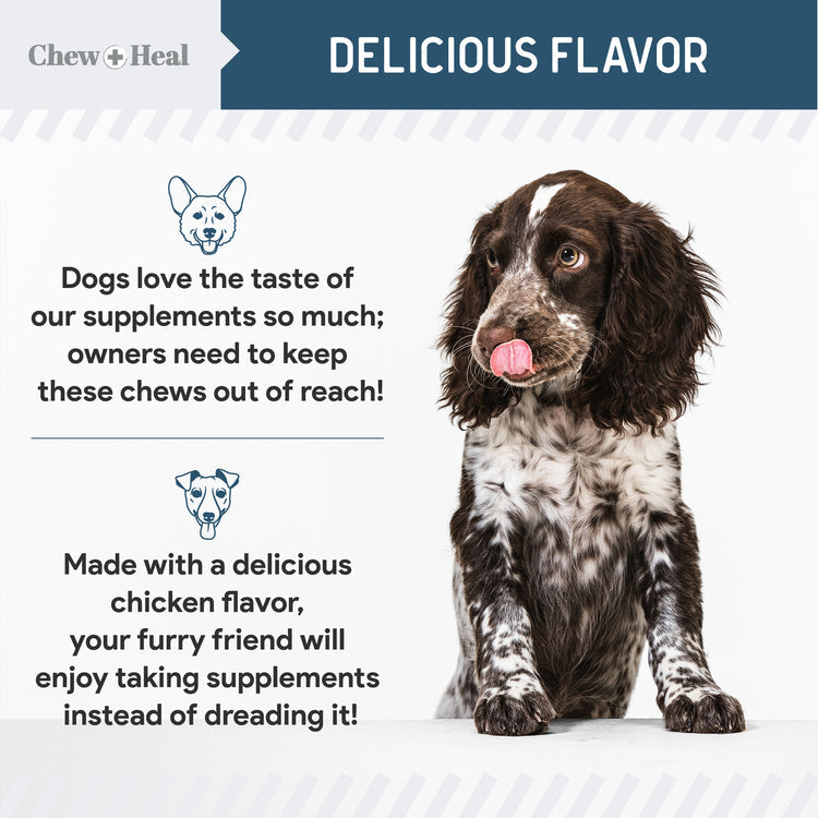 Digestive Enzymes & Probiotics Supplement for Dogs 120soft Chews