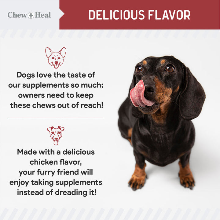 Cranberry Support Urinary Tract Supplement for Dogs
