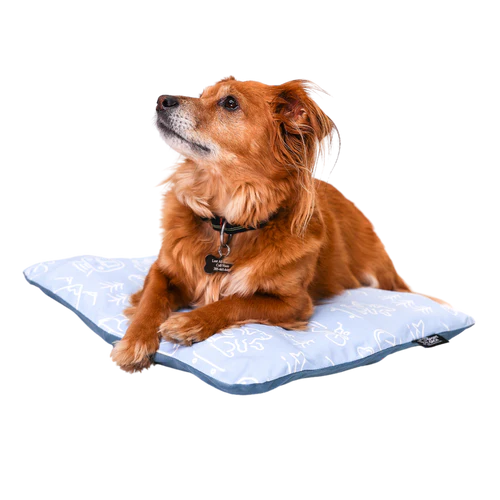 Sleeper - Inflatable Dog Bed with Washable Cover- Blue