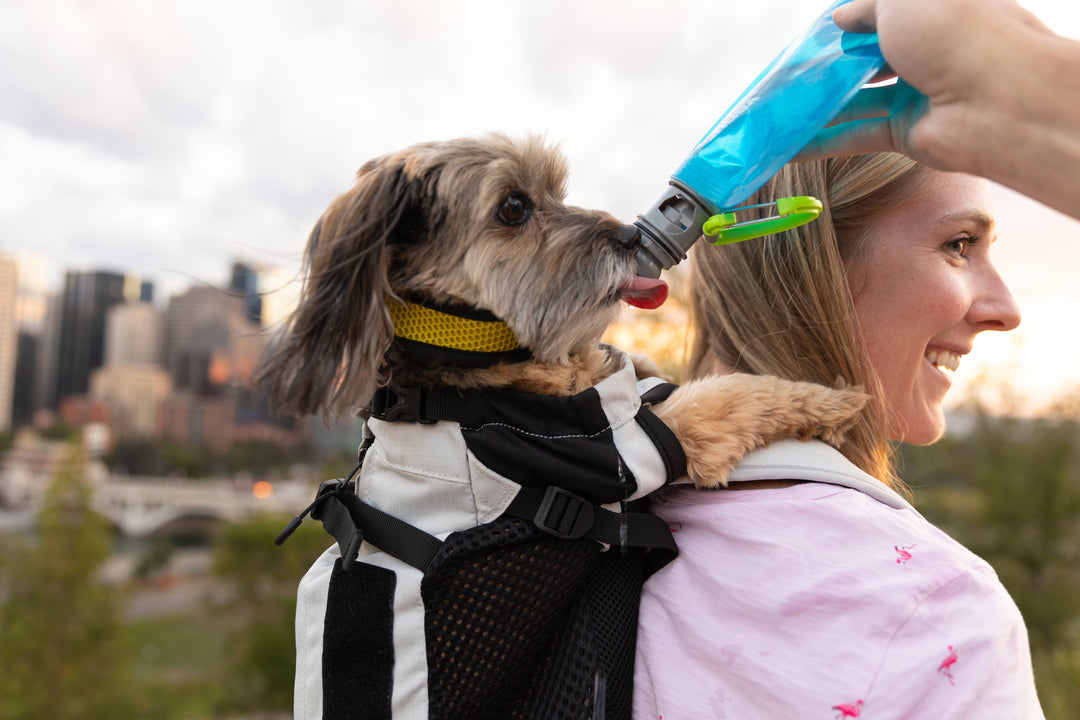 Vapur EZ Lick- Portable Dog Water Bottle