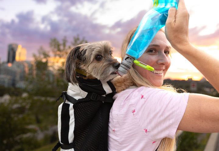 Vapur EZ Lick- Portable Dog Water Bottle