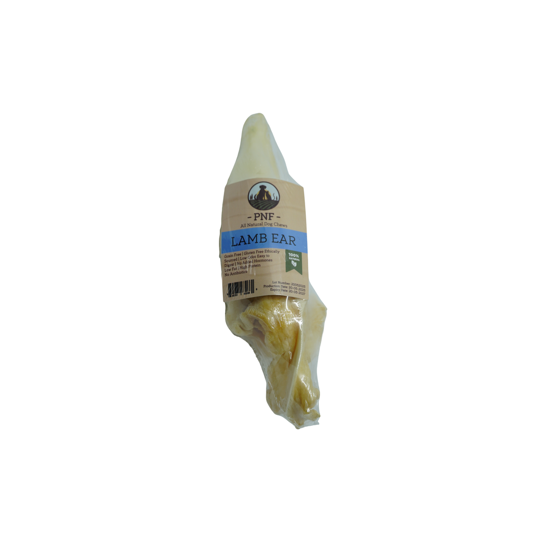 Lamb Ear
